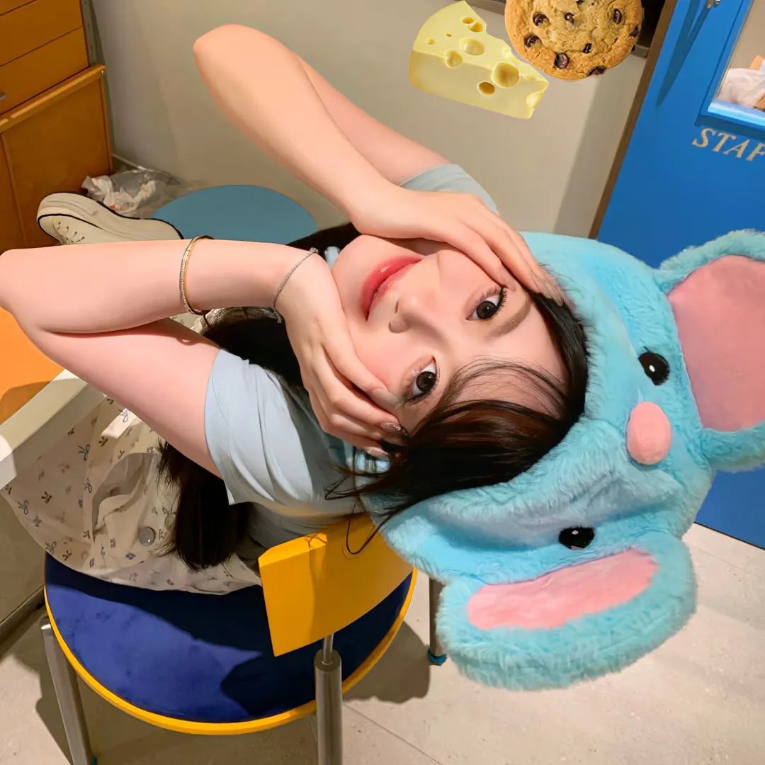 萌鼠追击大作战